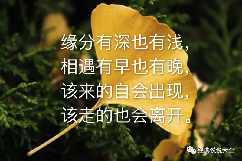 情感分享图片：用画面诉说心事